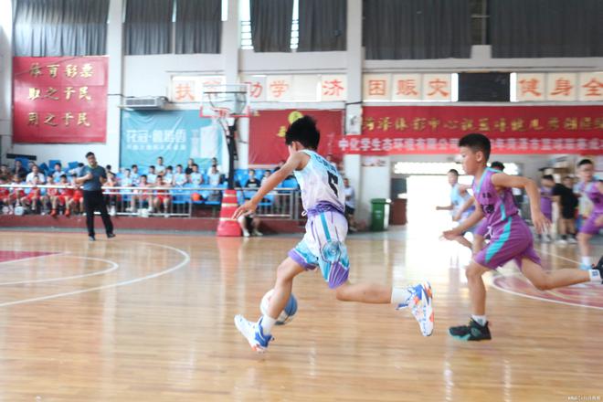 銀河證券：關(guān)注生豬養殖、肉雞養殖領(lǐng)域的投資機會(huì )