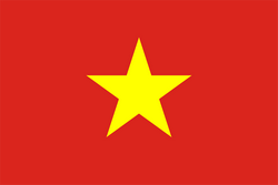 越南沙灘足球隊